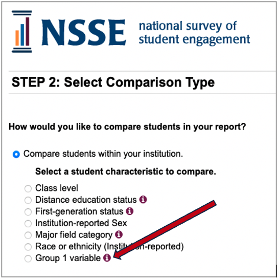 A thumbnail image of the report builder selection categories showing the group 1 variable option