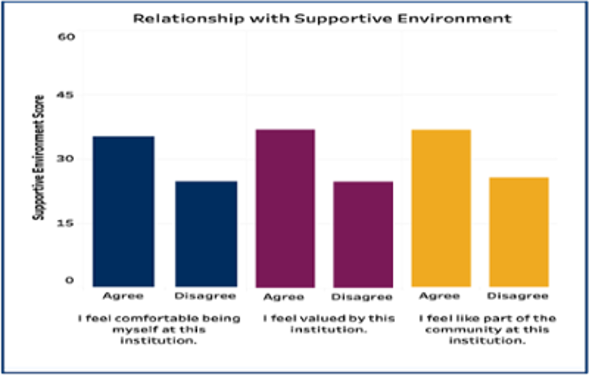 Thumbnail image of a chart in the sense of belonging tableau dashboard.